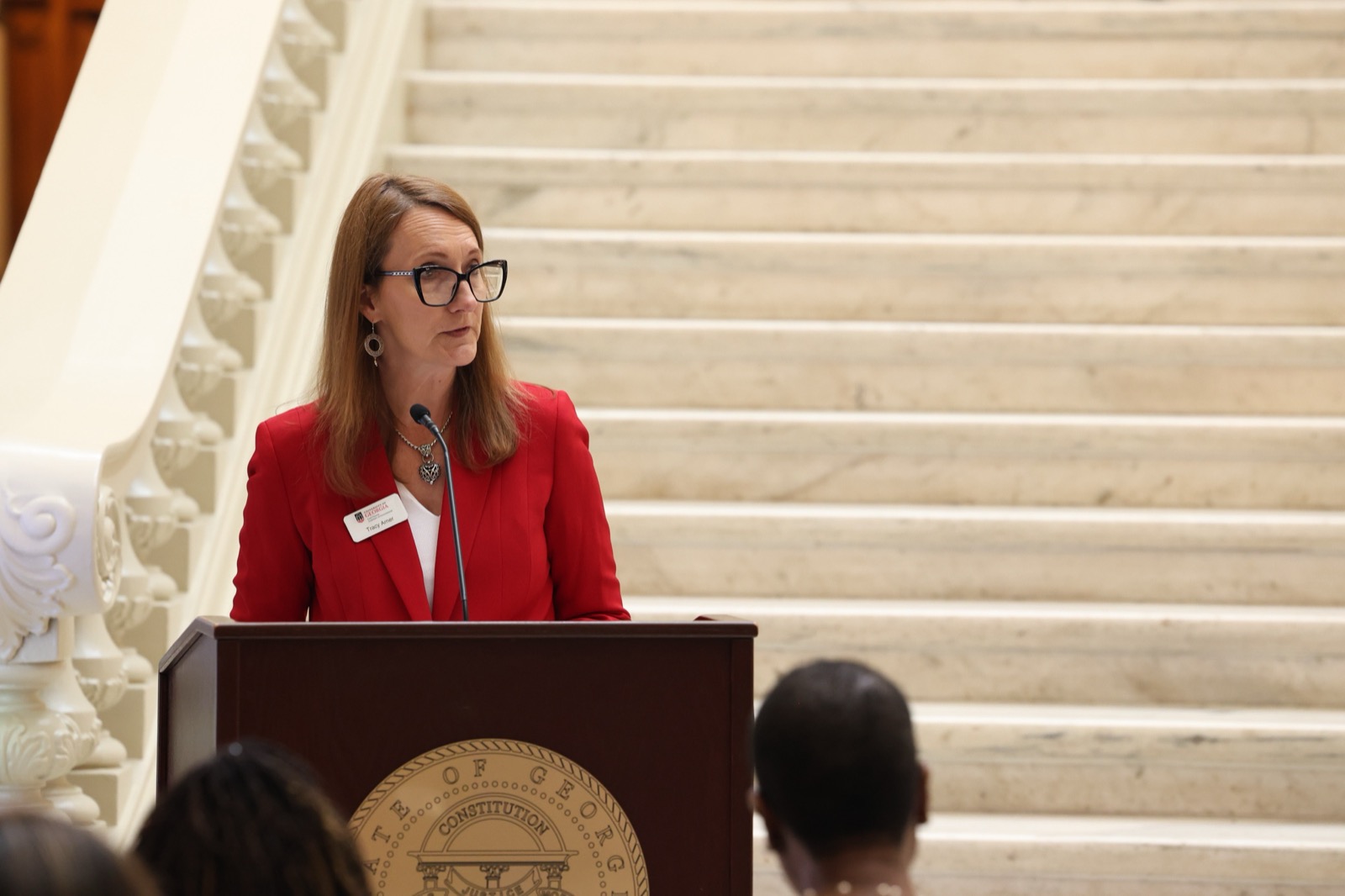 Tracy Arner, Interim Associate Director at the Carl Vinson Institute of Government, delivering remarks.